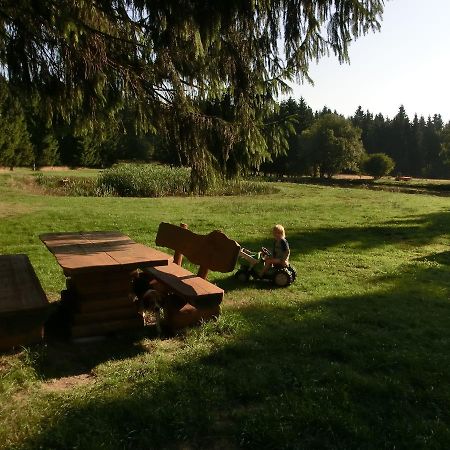 Ferienwohnung Kammbaude Neuhermsdorf Exterior foto